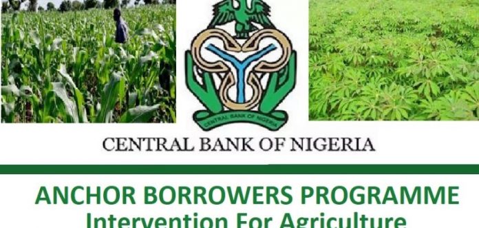 CBN Anchor Borrowers’ Scheme Not For Political Farmers – Ebonyi