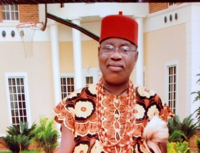 2023 - Gang up against president of Igbo extraction dangerous -Igwe Nnaji