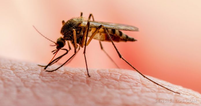Ebonyi Stakeholders Advocate Private Sector Funding To Fight Malaria