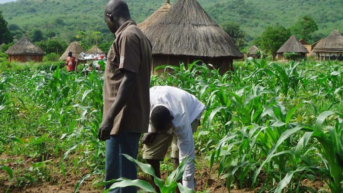 Enugu Distributes Agric Inputs To 2,000 Susceptible Farmers Today