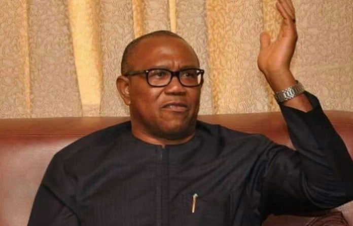 Peter Obi, a former governor of Anambra State and a presidential hopeful on the platform of the Peoples Democratic Party, has pleaded for the country's South-East region to be allowed to produce the country's next President.