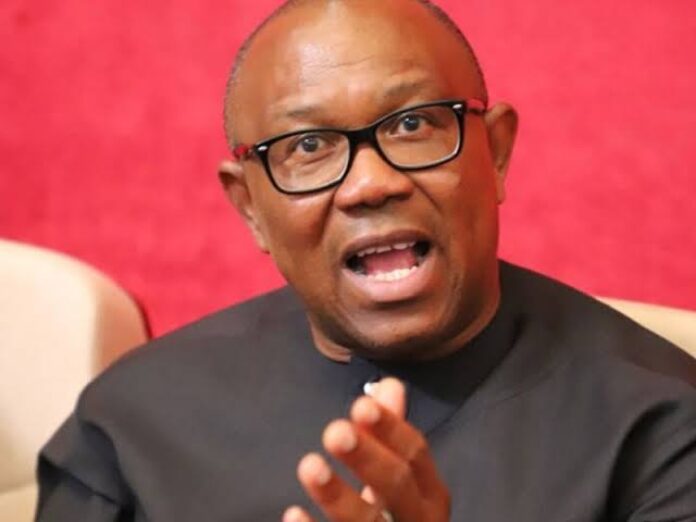 Honour Only Those Who Really Deserve It - Peter Obi