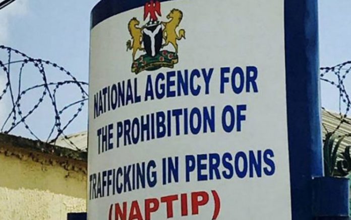 NAPTIP Seals Off Baby Factory In Aba, Owner On The Run