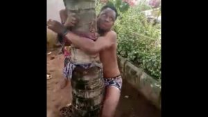 2 Gay Boys Tied, Beaten And Flogged In Okija 1