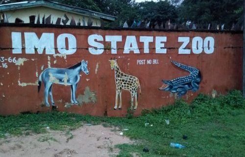 250 Animals Starve To Death In Imo Zoo