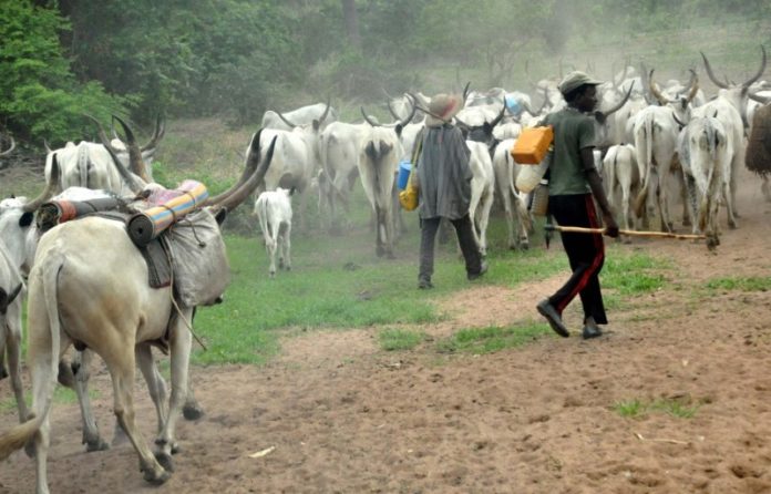 Imo Community Laments Herdsmen Invasion, Destruction Of Farms