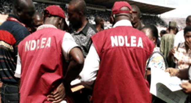 NDLEA Arrests 226 Drug Traffickers In Ebonyi