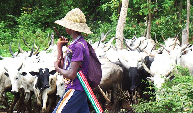 5 Killed As Herdsmen Invade Enugu Farm Settlements
