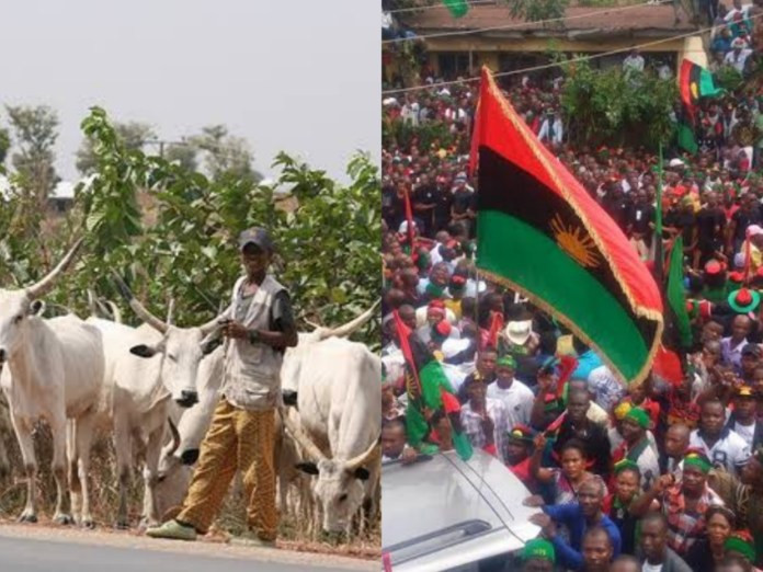 Why We Banned Fulani Cattle In South-East — IPOB