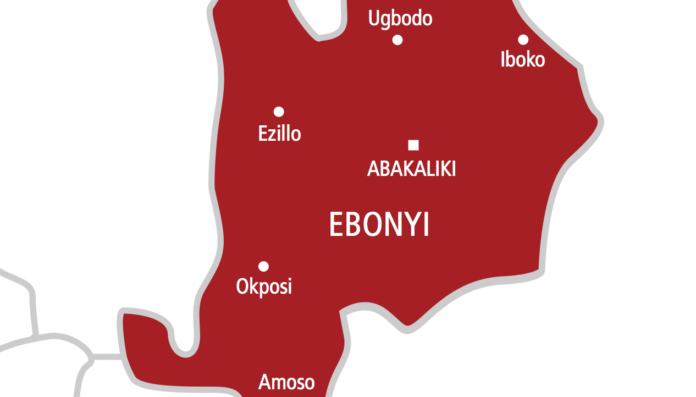 Chaos In Ebonyi Assembly As Political Thugs Assault NUJ Sec