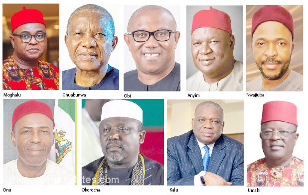 A United Ndigbo Can Offer Nigeria Its Next President By 2023