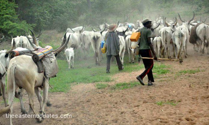 Herdsmen Abduct Pastor And Wife In Fresh Abia Attacks