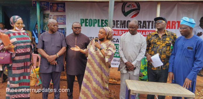 PDP LGA Congresses In Enugu State Transparent – Panel