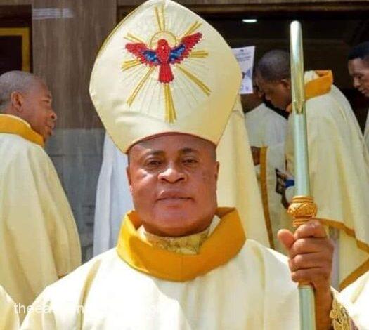 Buhari Salutes Okpaleke On Appointment As Cardinal