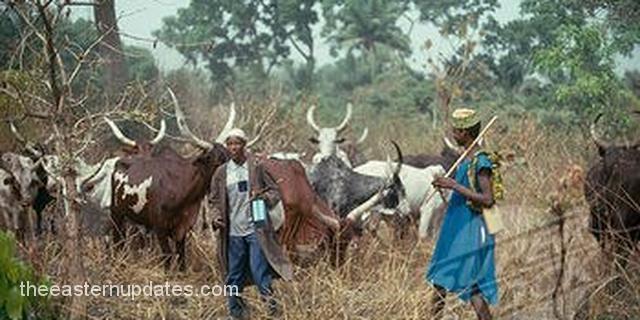 Herdsmen Invade Imo Community, Destroy Crops