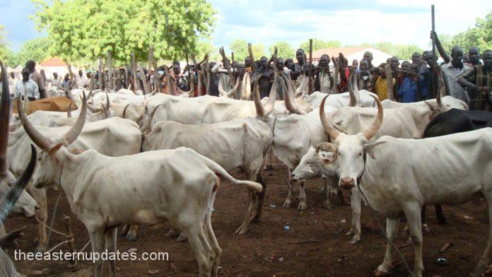 Insecurity Ikpeazu Restricts Herders, Cows To Cattle Market