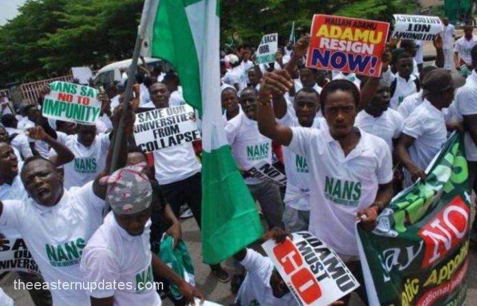 NANS Threatens Protest Over Insecurity, Endless Strike
