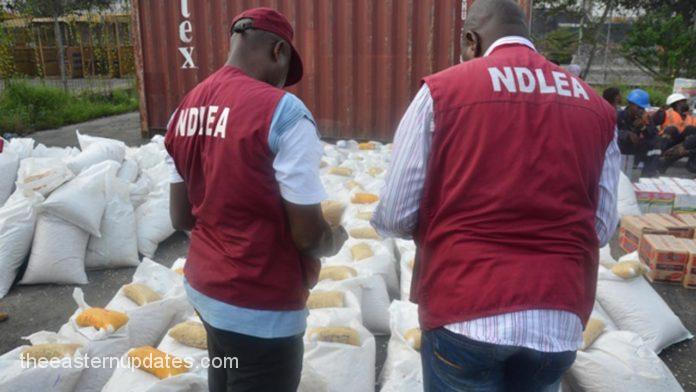 NDLEA Arrests 218 Suspects, Impounds Hard Drugs In Imo
