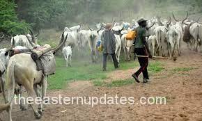 Pandemonium As Fulani Herdsmen Invade Abia Community