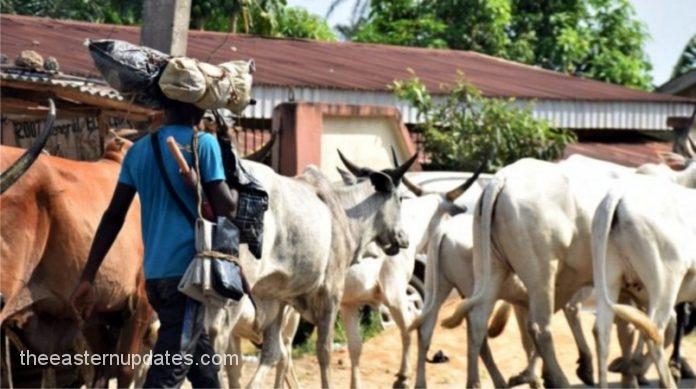 Panic As Herdsmen Invade Enugu Community, Abduct Six Pilgrims
