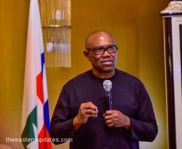 Northerners Who Hate Peter Obi Are Bigots – SERG 