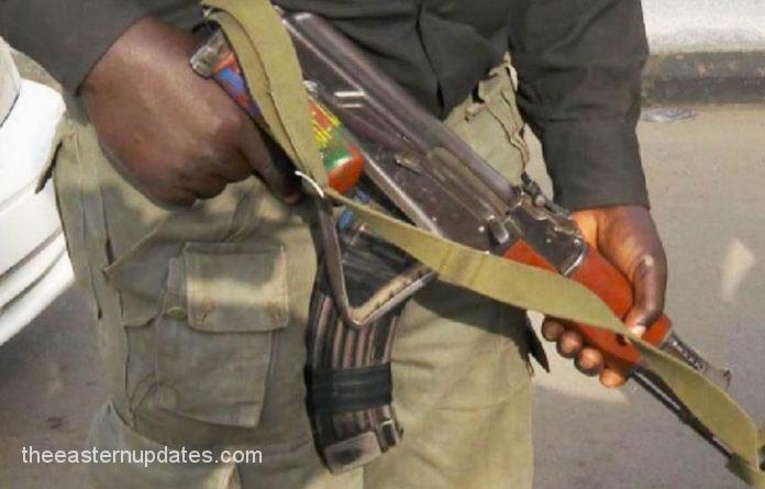Unknown Gunmen Murder Two Police Personnel In Enugu