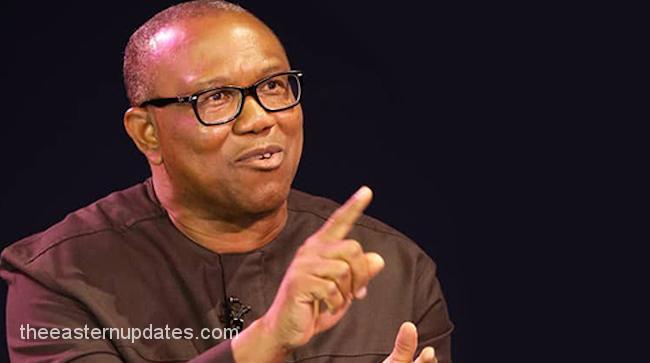 2023 Be Tolerant, Peter Obi Charges 'Obident' Followers