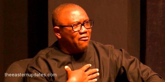 Aviod Candidates That Only Make Use Of Proxies – Obi