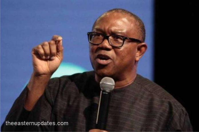 What I’ll Do If War Breaks Out In Nigeria - Peter Obi Reveals