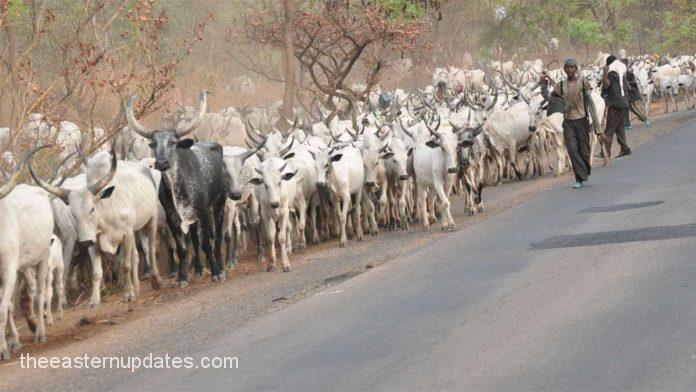 Abia Communities Groan As Herdsmen Kidnappings Persist