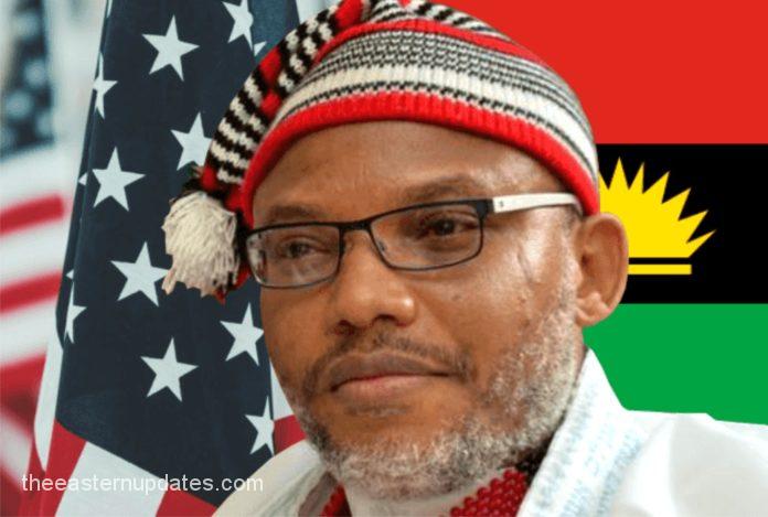 Don’t Return To Without Nnamdi Kanu – IPOB To Igbo Leaders