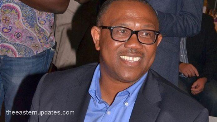 ‘Rejected Stone': Ohanaeze Felicitates With Peter Obi At 61