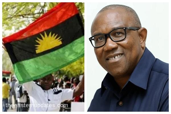 I Live With IPOB Members, They're Not Terrorists – Peter Obi