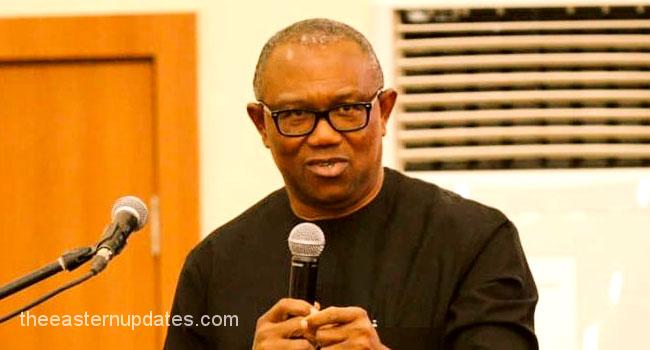 I Live With IPOB Members, They're Not Terrorists – Peter Obi