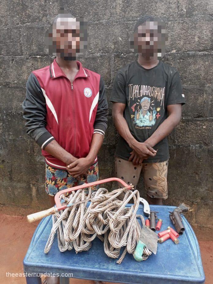 Police Arrest Two Suspected Cable Vandals In Imo State