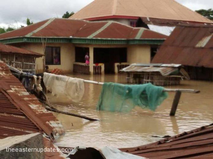 Anambra Flood Victims Refusing Evacuation - C'ttee Chairman