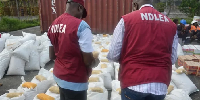 NDLEA Nabs 192 Over Suspected Drug Trafficking In Ebonyi