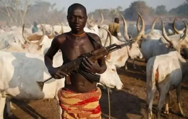 8 Allegedly Murdered As Herdsmen Invade Enugu Community