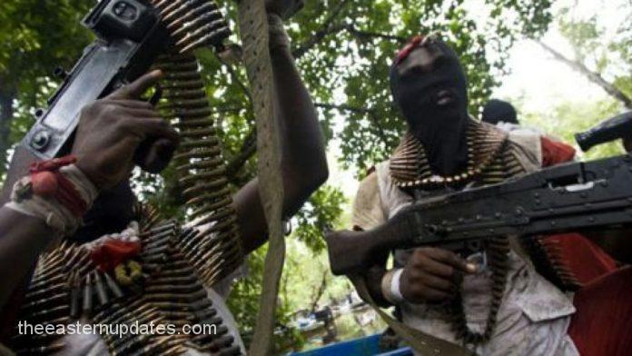 Panic As Unknown Gunmen Kill Three In Enugu