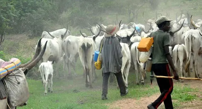 Tension As Herdsmen Again, Invade Enugu Communities, Kill 3