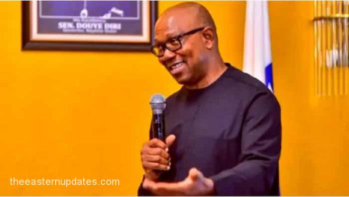 2023 Peter Obi Officially Releases Campaign Manifesto
