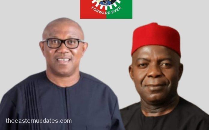 2023 Vote For Peter Obi, Myself – Otti Pleads With Abians