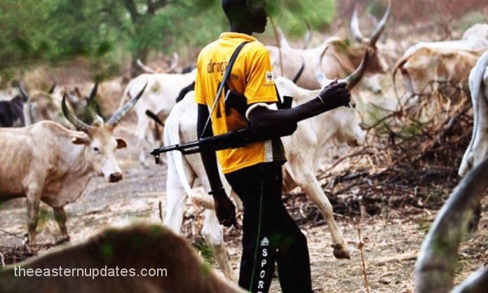 Again, Herdsmen Attack Enugu Community, Kill Many