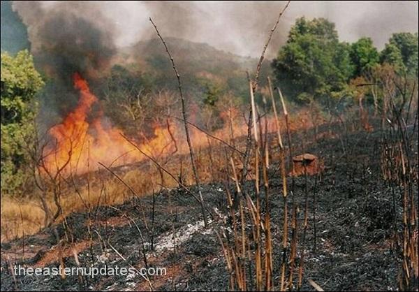 EEDC Laments Indiscriminate Bush Burning In Harmattan Season