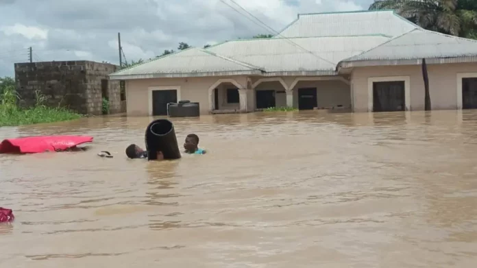 Over 100 Facilities Destroyed In Ogbaru Flood - Report