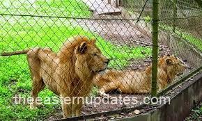 Animals In Nekede Zoo Relocated By Imo State Govt