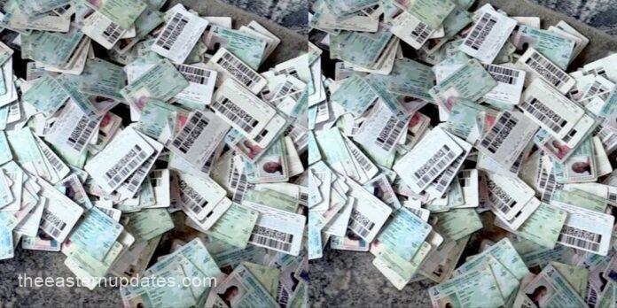 INEC Mum Over PVCs Discovered In By Hunter In Nnewi Forest