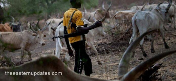 Enugu Community Cries Out Over Herdsmen Invasion