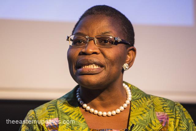 No Single Govt Can Solve All Our Problems - Ezekwesili