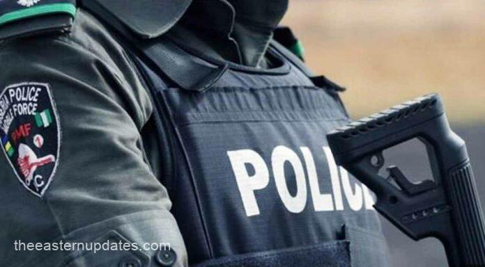 Suspected Armed Robber Arrested By Police In Imo